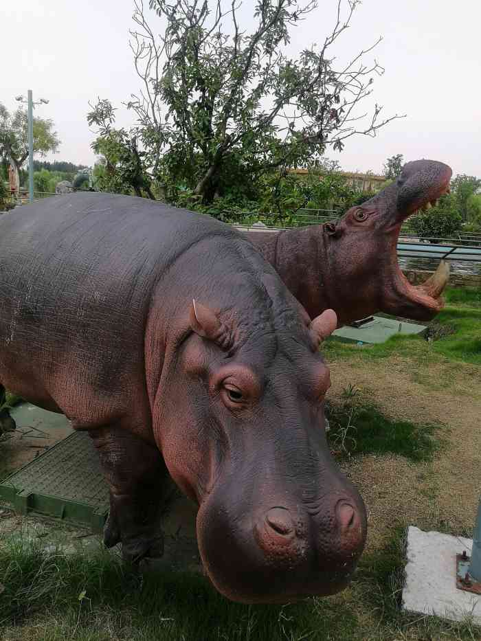 泉城欧乐堡动物王国-"济南每开一家动物园,必打卡一次,更别说这.