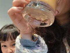 -Seesaw Coffee(苏州中心店)