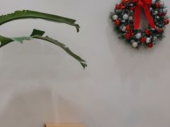 -echoes coffee回响咖啡(红山店)