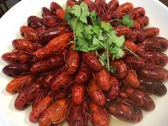 清水龙虾-巧凤私房菜