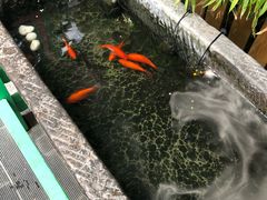-顺承小院儿