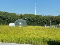 -MUSEO COFFEE咖啡博物馆