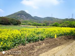 -八卦田遗址公园
