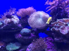 -青岛海底世界-水族馆