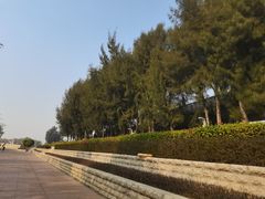 -宝安西湾红树林湿地公园