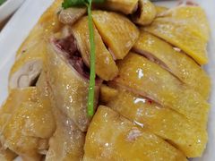 正宗白切鸡-巫记鸡饭店