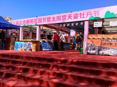 -太阳宫公园