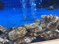 -香山湖渔家大院