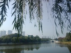 -月湖风景区