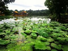 -承德避暑山庄景区