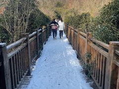 -紫蓬山国家森林公园