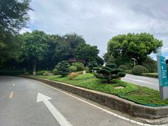 -上海市保健医疗中心