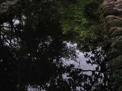 -成都市活水公园