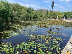 -白马涧龙池景区