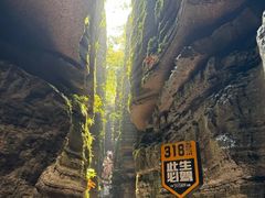 -梭布垭石林景区