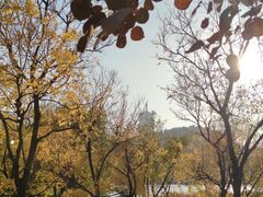 -永定河休闲森林公园