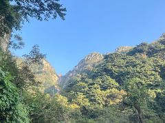 -泰山风景名胜区