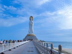 -小海豚•老字号海鲜餐厅(天涯店)