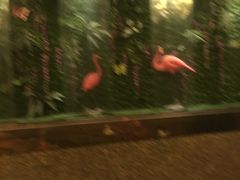 -东方之珠洗浴休闲广场(南开店)