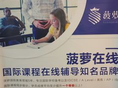 -菠萝国际教育专注Alevel·IGCSE·IB·AP·托福雅思培训辅导(静安校区)