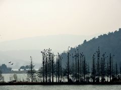 android_upload_pic-东湖落雁景区