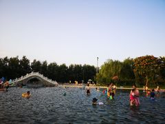 -柳浪游泳场