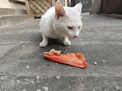 -两江国际影视城