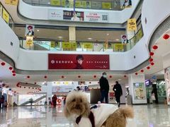 -中国丹阳眼镜城