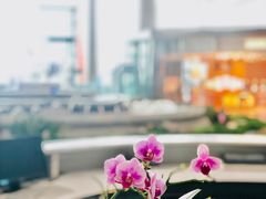 -日上免税店(三径路t3店)