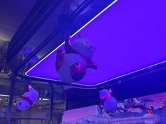 -星巴克(成都市中海右岸环宇坊店)