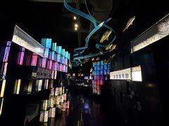 -同济大学四平路校区深海探索馆