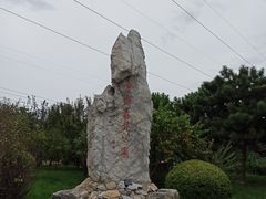 -云岗森林公园