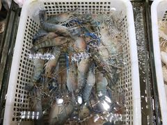 -岳各庄批发市场(西四环中路店)