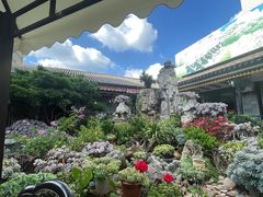 -山菌美食苑(振兴路店)