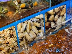 -東大方(海宁海昌路店)