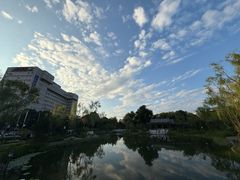 -首都医科大学宣武医院