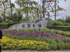 -恩阳古镇