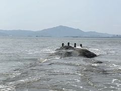 -白城沙滩