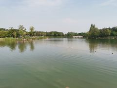 -江苏三台山国家森林公园
