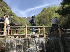 -王顺山国家森林公园