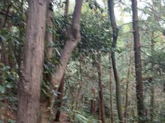 -九龙潭景区