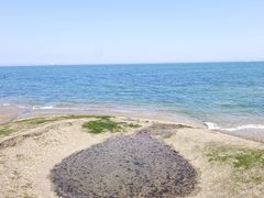 -日照灯塔风景区