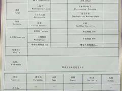-宠爱国际动物医院·疑难骨科·心肾内科·皮肤科(太阳宫店)
