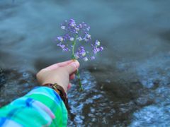 -西岭雪山大飞水景区
