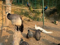 -杭州开元森泊度假乐园