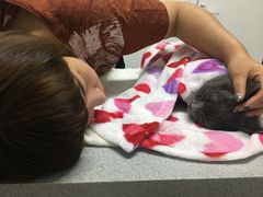 -达爱动物医院·犬猫分区·CT·复杂眼科(远洋山水分院)