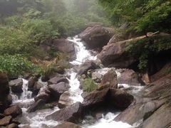 iphone_upload_pic-大明山自然探索公园
