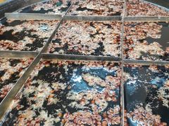 -石灰市老火锅(北滨路店)