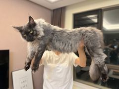 -瑞派康怡24h宠物医院·犬猫医疗中心·微创绝育(瑞景分院)