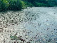 -东钱湖旅游度假区